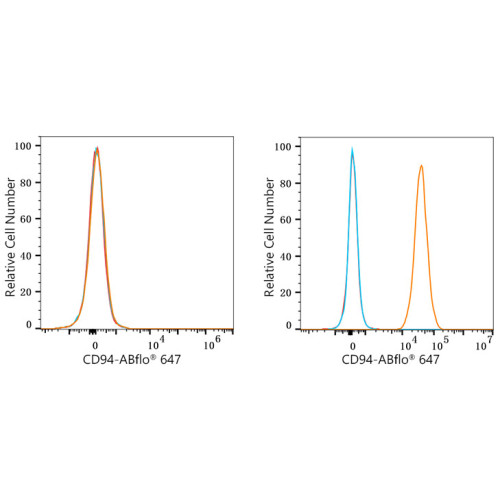 ABflo® 647 Rabbit anti-Human CD94 mAb