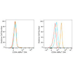 ABflo® 594 Rabbit anti-Human CD94 mAb