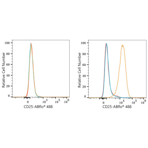 ABflo® 488 Rabbit anti-Mouse CD25 mAb