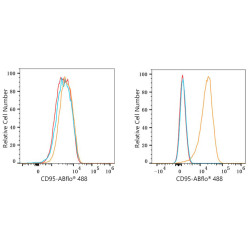 ABflo® 488 Rabbit anti-Mouse CD95/FAS mAb