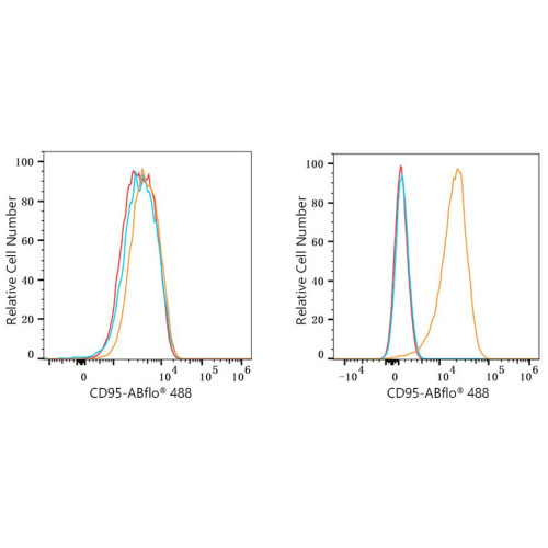 ABflo® 488 Rabbit anti-Mouse CD95/FAS mAb