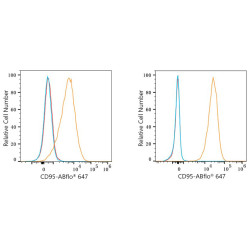 ABflo® 647 Rabbit anti-Mouse CD95/FAS mAb