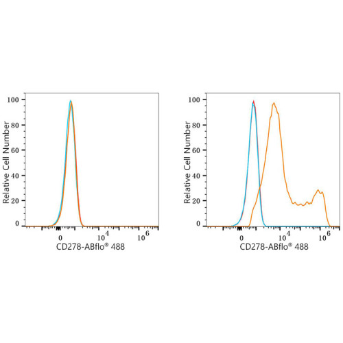 ABflo® 488 Rabbit anti-Mouse CD278/ICOS mAb