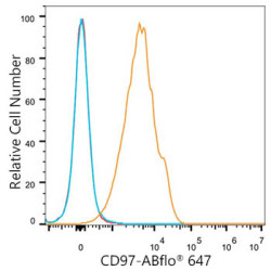 ABflo® 647 Rabbit anti-Mouse CD97 mAb