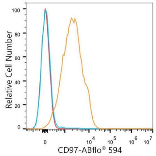 ABflo® 594 Rabbit anti-Mouse CD97 mAb