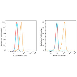 ABflo® 647 Rabbit anti-Human Bcl-6 mAb