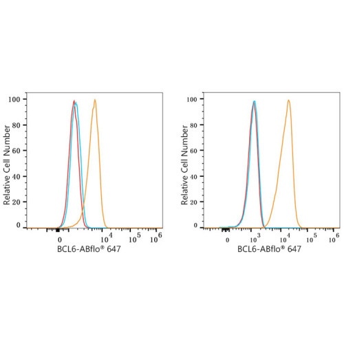 ABflo® 647 Rabbit anti-Human Bcl-6 mAb
