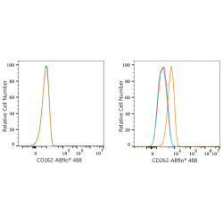 ABflo® 488 Rabbit anti-Human CD262/DR5/TRAIL-R2 mAb