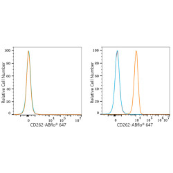 ABflo® 647 Rabbit anti-Human CD262/DR5/TRAIL-R2 mAb