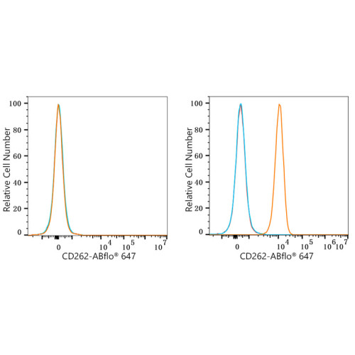 ABflo® 647 Rabbit anti-Human CD262/DR5/TRAIL-R2 mAb