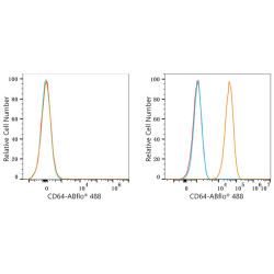 ABflo® 488 Rabbit anti-Mouse CD64/FcγRI mAb