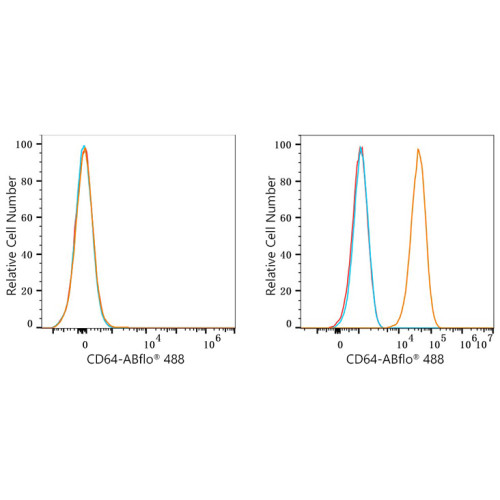ABflo® 488 Rabbit anti-Mouse CD64/FcγRI mAb