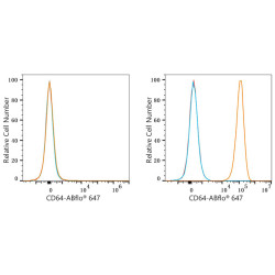 ABflo® 647 Rabbit anti-Mouse CD64/FcγRI mAb