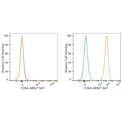 ABflo® 647 Rabbit anti-Mouse CD64/FcγRI mAb