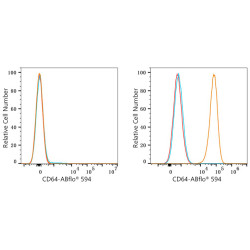 ABflo® 594 Rabbit anti-Mouse CD64/FcγRI mAb