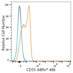 ABflo® 488 Rabbit anti-Mouse/Human CD55 mAb