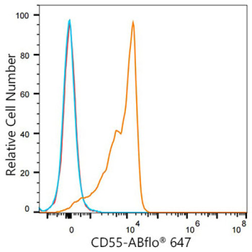 ABflo® 647 Rabbit anti-Mouse/Human CD55 mAb