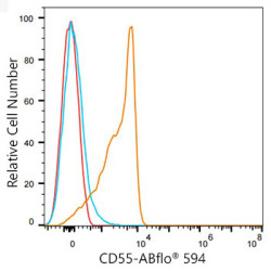 ABflo® 594 Rabbit anti-Mouse/Human CD55 mAb