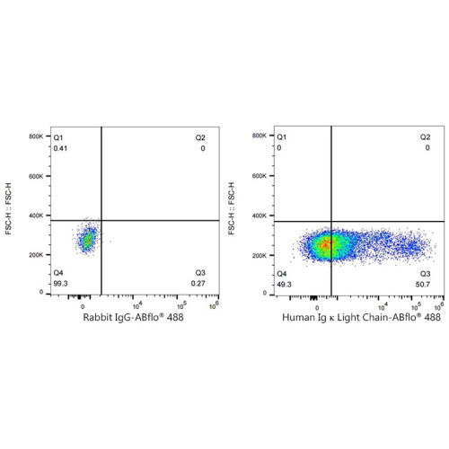 ABflo® 488 Rabbit anti-Human Ig κ Light Chain mAb