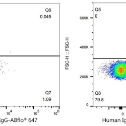ABflo® 647 Rabbit anti-Human Ig κ Light Chain mAb