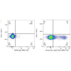 ABflo® 647 Rabbit anti-Human Ig κ Light Chain mAb