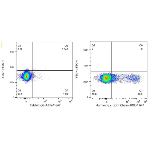 ABflo® 647 Rabbit anti-Human Ig κ Light Chain mAb