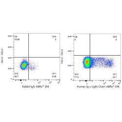 ABflo® 594 Rabbit anti-Human Ig κ Light Chain mAb