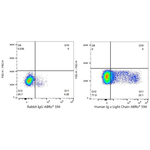 ABflo® 594 Rabbit anti-Human Ig κ Light Chain mAb