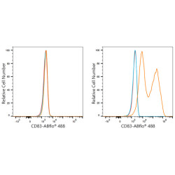 ABflo® 488 Rabbit anti-Mouse CD83 mAb