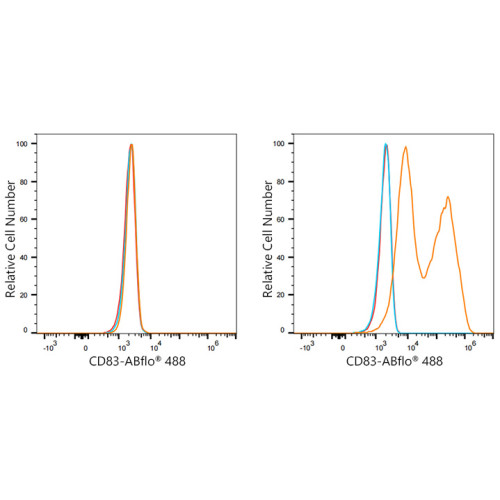 ABflo® 488 Rabbit anti-Mouse CD83 mAb