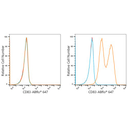 ABflo® 647 Rabbit anti-Mouse CD83 mAb