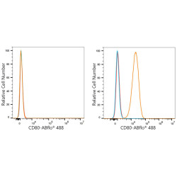 ABflo® 488 Rabbit anti-Mouse CD80/B7-1 mAb