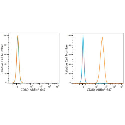 ABflo® 647 Rabbit anti-Mouse CD80/B7-1 mAb