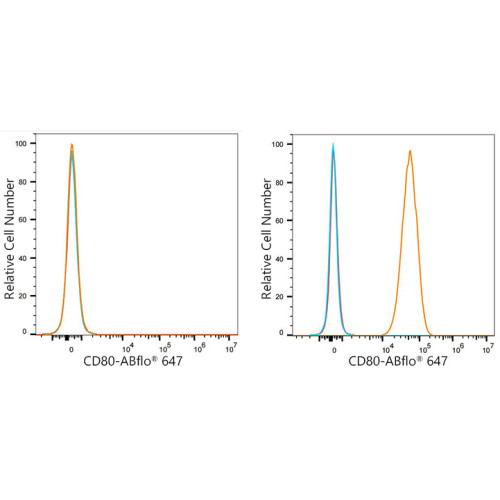 ABflo® 647 Rabbit anti-Mouse CD80/B7-1 mAb