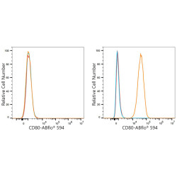 ABflo® 594 Rabbit anti-Mouse CD80/B7-1 mAb
