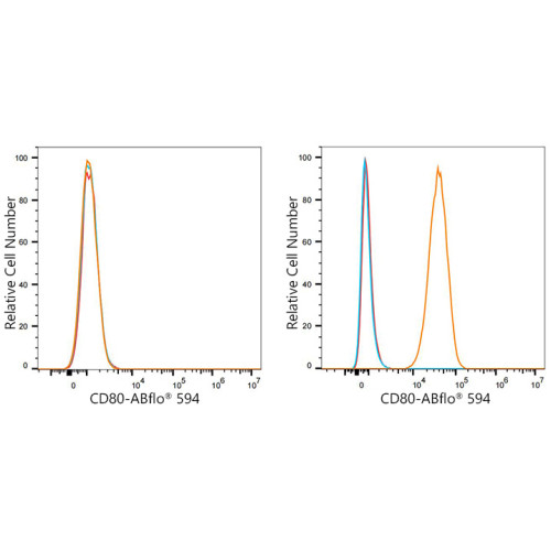 ABflo® 594 Rabbit anti-Mouse CD80/B7-1 mAb