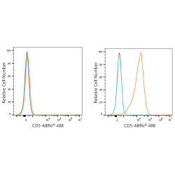 ABflo® 488 Rabbit anti-Mouse CD5 mAb
