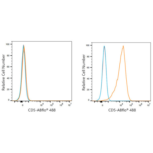 ABflo® 488 Rabbit anti-Mouse CD5 mAb