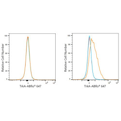 ABflo® 647 Rabbit anti-Human TrkA mAb