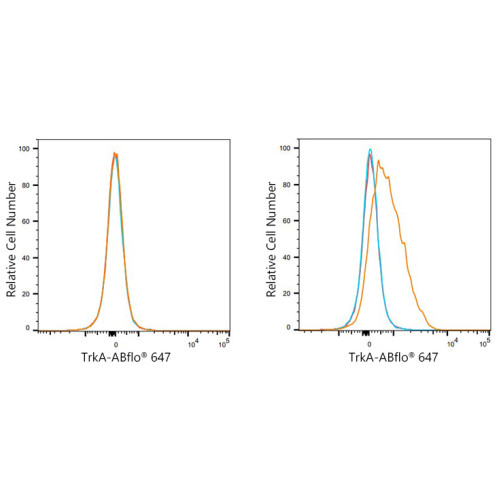ABflo® 647 Rabbit anti-Human TrkA mAb