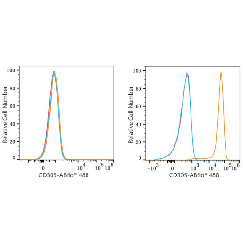 ABflo® 488 Rabbit anti-Human CD305/LAIR1 mAb