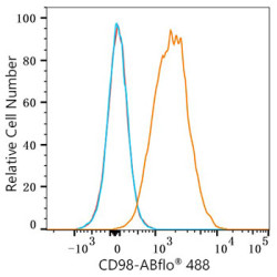 ABflo® 488 Rabbit anti-Mouse CD98 mAb
