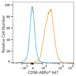 ABflo® 647 Rabbit anti-Mouse CD98 mAb
