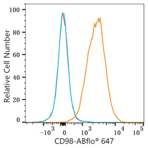 ABflo® 647 Rabbit anti-Mouse CD98 mAb