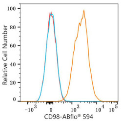 ABflo® 594 Rabbit anti-Mouse CD98 mAb