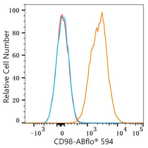 ABflo® 594 Rabbit anti-Mouse CD98 mAb