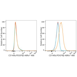 ABflo® 488 Rabbit anti-Human CD140b/PDGFRβ mAb