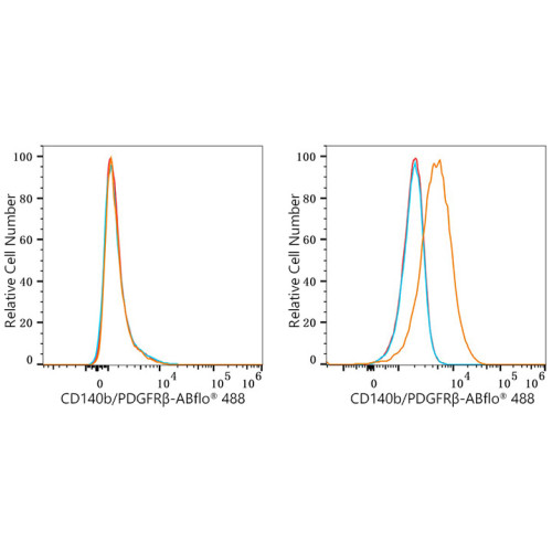 ABflo® 488 Rabbit anti-Human CD140b/PDGFRβ mAb