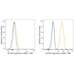 ABflo® 488 Rabbit anti-Human β2 Microglobulin mAb
