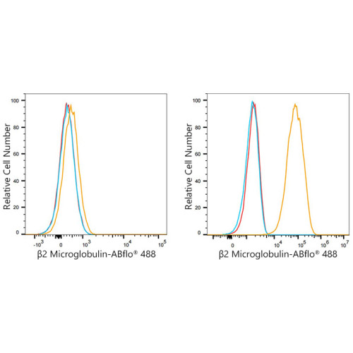 ABflo® 488 Rabbit anti-Human β2 Microglobulin mAb